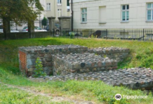 Rezerwat Archeologiczny Zamku Kazimierzowskiego景点图片