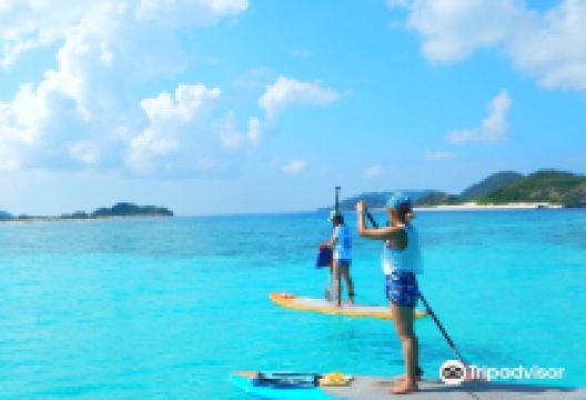 COCO SUP购物图片