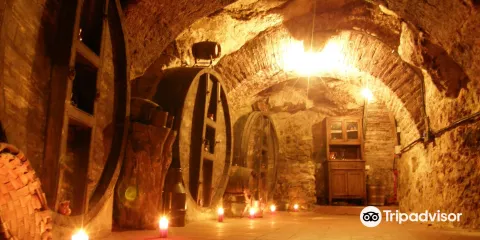 Don Carlos Bodega Historica