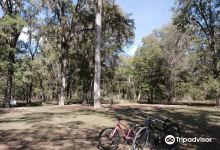 Stephen F. Austin State Park景点图片