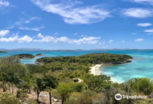 Great Bird Island景点图片