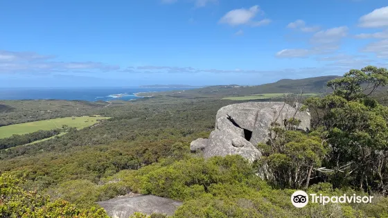 Monkey Rock