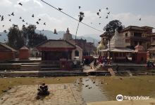 Bansha Gopal Krishna Temple景点图片