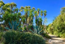 Jardin Exotique et Botanique de Roscoff景点图片