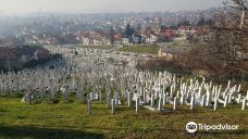Alifakovac Cemetery-Stari Grad
