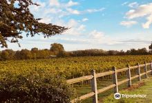 Domaine de Pied-Flond景点图片