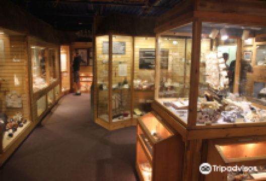 DiscoverSea Shipwreck Museum景点图片