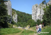 Bolechowicka Valley景点图片