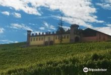Azienda Vitivinicola Pier景点图片