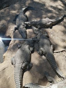 Crocodile Park Victoria Falls-万盖