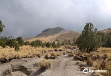 Volcan La Malinche景点图片