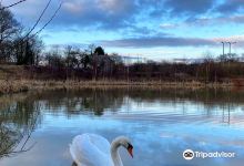 Firsby Common Local Nature Reserve景点图片