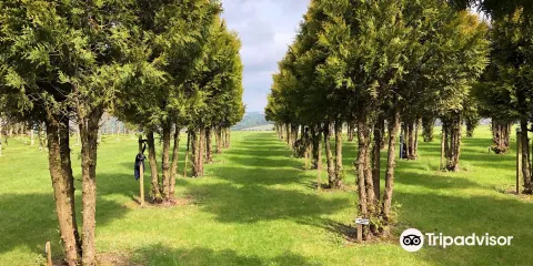 Ringfinnan Garden of Remembrance