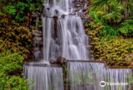 普克库拉公园景点图片