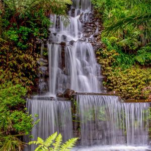 New Plymouth