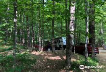 Mohawk Trail State Forest景点图片