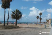 Playa de Los Naufragos景点图片