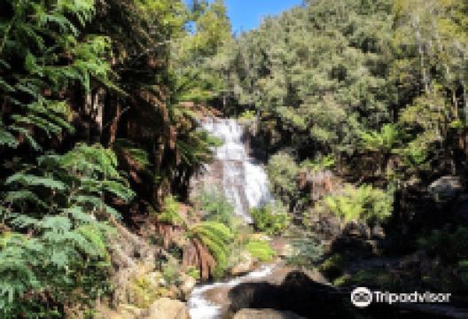 Westmorland Falls Track景点图片