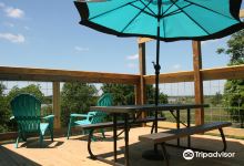Lavaca Bluffs Vineyard and Winery景点图片