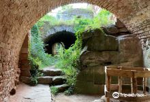 Burgruine Drachenfels景点图片