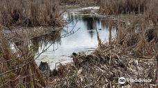 Talking Water Gardens-奥尔巴尼
