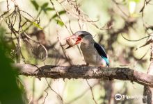 Amanzimtoti Bird Sanctuary景点图片