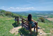 Panchine del pellegrino景点图片