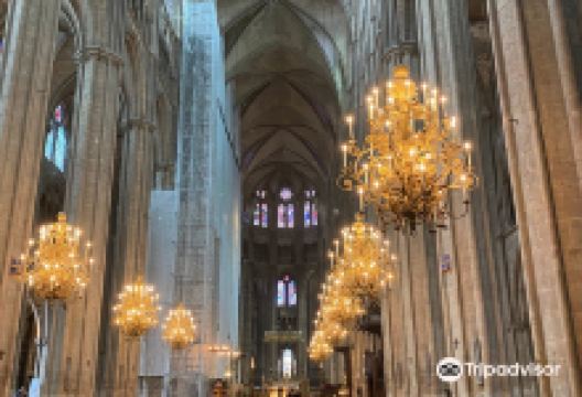 布尔日主教座堂景点图片