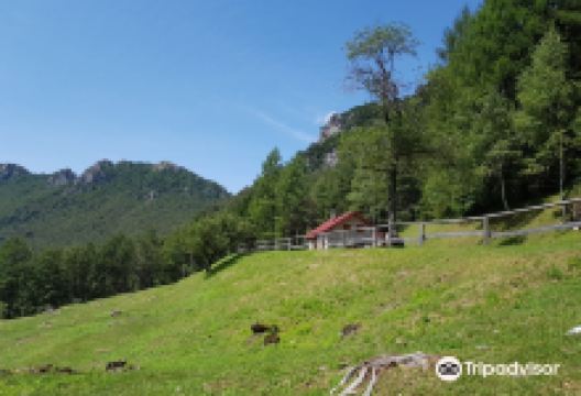 Riserva Naturale Val Alba景点图片