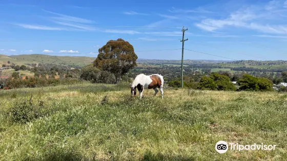 Gundagai - Rotary Lookout