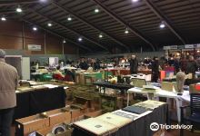 Tongeren Flea Market购物图片