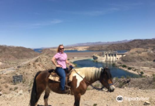 Pot A Gold Stables景点图片