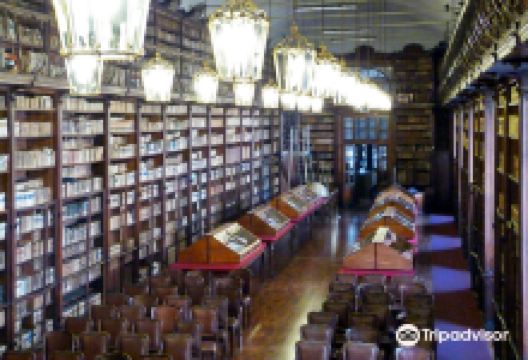 Biblioteca Universitaria di Pavia景点图片