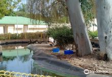 Nahariya Botanic Garden and Zoo景点图片