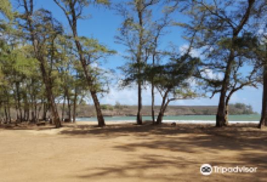 Hanamaulu Beach景点图片