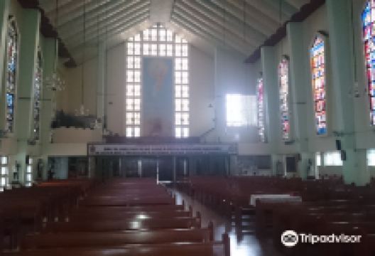 Sto. Nino Cathedral景点图片