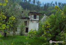 Agushevi konatsi景点图片