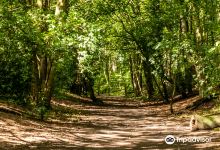 Maes-y-Pant / Marford Quarry景点图片