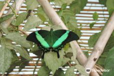 Casa delle Farfalle-米兰马瑞提那