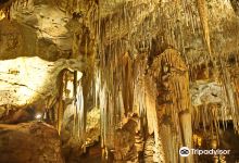 Tantanoola Caves Conservation Park景点图片