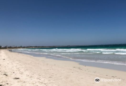 Waikiki Beach景点图片