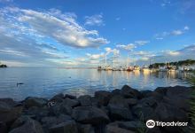 Marina Park景点图片