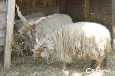 Discovery Farm Saint-André-滨海阿热莱斯