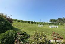 Fero Vineyards and Winery景点图片