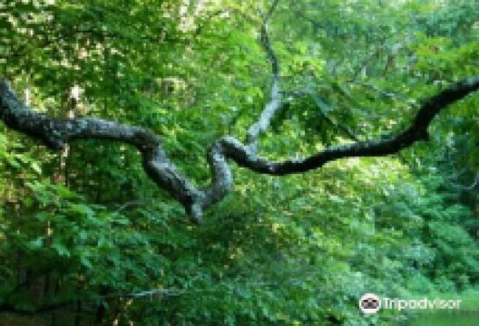 Reynolds Nature Preserve景点图片