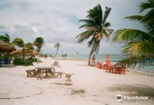 Blue Ocean Safari景点图片