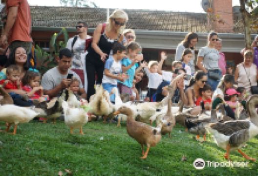 Cia dos Bichos景点图片
