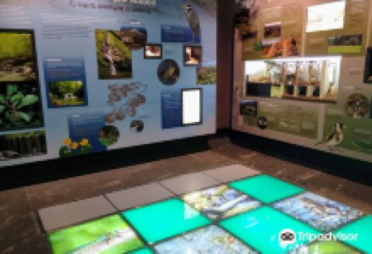Parketxea Centro de interpretacion del Parque Natural de Gorbeia景点图片