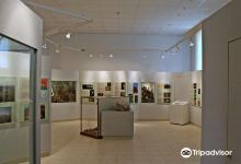 Museo Civico Antonio Cerutti景点图片