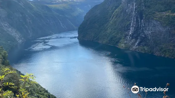 Skagefl?